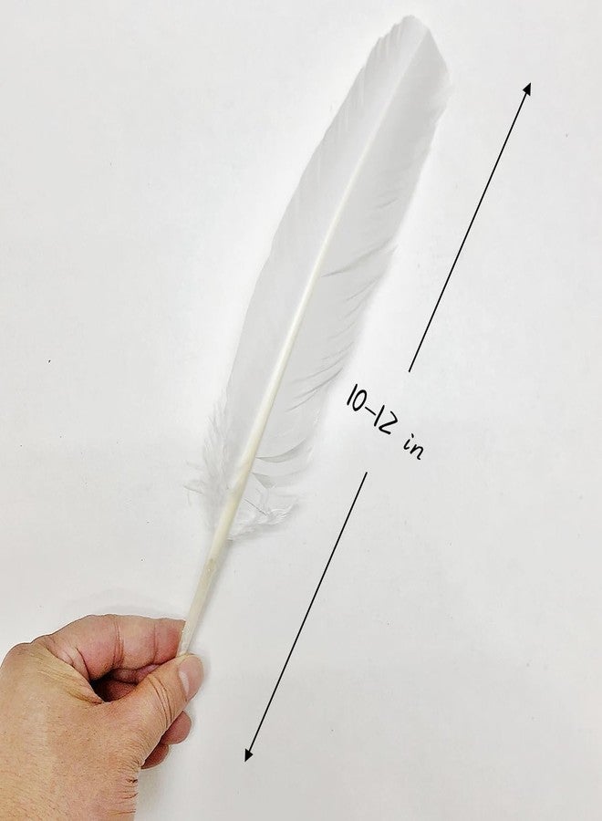 XKTEI 24Pcs White Turkey Feathers with 10~12 inches Long,Beautiful Long Feather（26-31CM）,Big Size Bilateral Natural Turkey Feather,for Wedding Dress and Party Decoration,DIY Fabricating Handicraft Article - Image 2