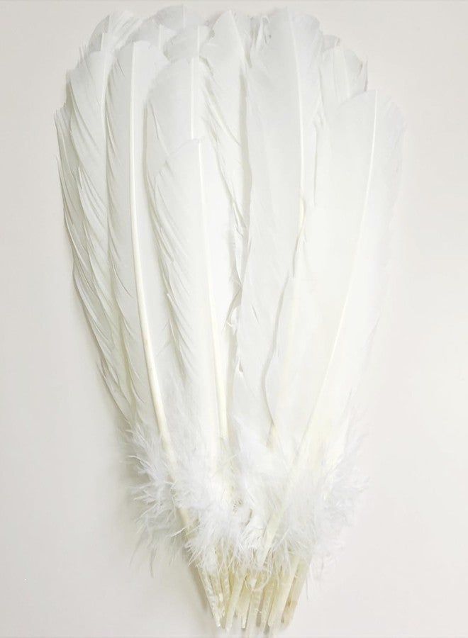 XKTEI 24Pcs White Turkey Feathers with 10~12 inches Long,Beautiful Long Feather（26-31CM）,Big Size Bilateral Natural Turkey Feather,for Wedding Dress and Party Decoration,DIY Fabricating Handicraft Article - Image 1