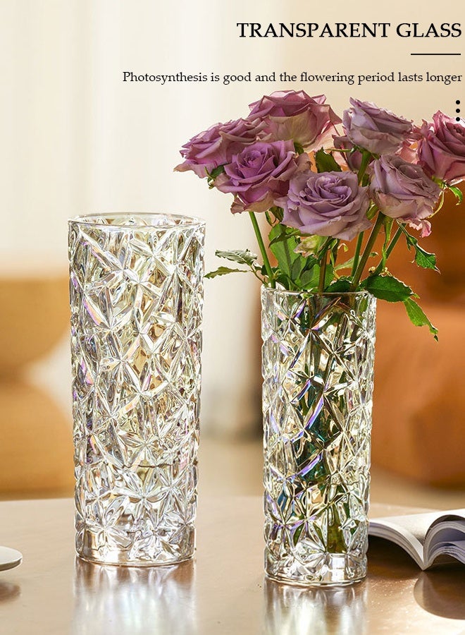 DUNISO Creative Clear Glass Vase Craft Aesthetic Decorative Small Flower Vase Hydroponic Plant Desktop Ornament Modern Irregularity Vase for Flowers Rose Home and Office - Image 3