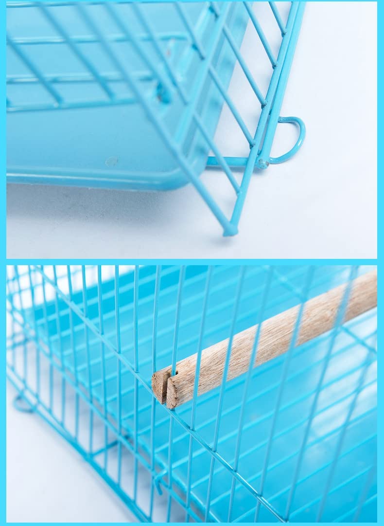 VAYINATO Iron 2 Feet (24 Inch) Blue Color Birds Cage For Budgies, Finches, Love Birds, Cocktails, Conures & All Small Birds With Free Hanging Toys (2 Feet-24 Inch) By Petzlifeworld - Image 3