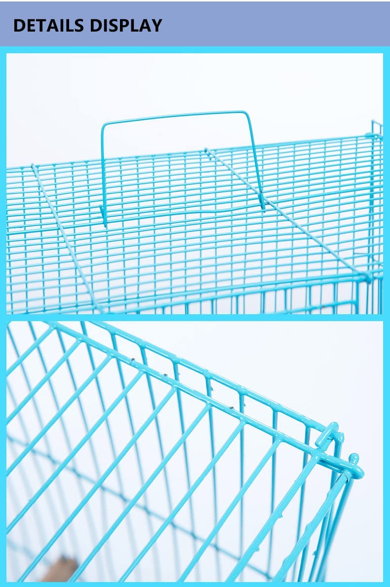 VAYINATO Iron 2 Feet (24 Inch) Blue Color Birds Cage For Budgies, Finches, Love Birds, Cocktails, Conures & All Small Birds With Free Hanging Toys (2 Feet-24 Inch) By Petzlifeworld - Image 2