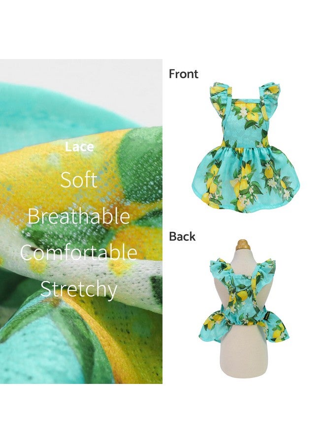 Fitwarm Lemon Dog Dress, Dog Clothes For Small Dogs Girl, Pet Cat Apparel, Teal Blue, Yellow, Green, Medium - Image 5