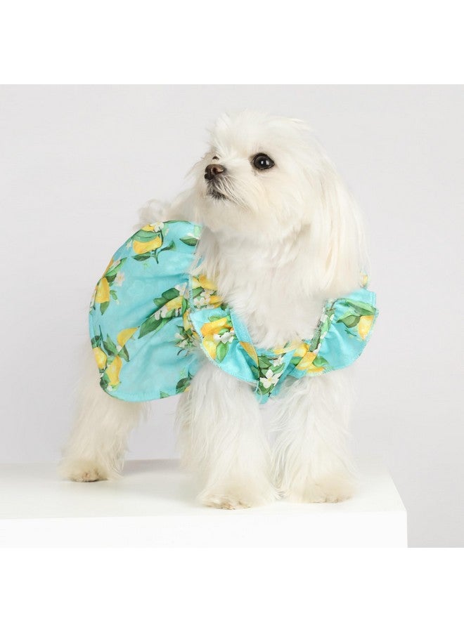 Fitwarm Lemon Dog Dress, Dog Clothes For Small Dogs Girl, Pet Cat Apparel, Teal Blue, Yellow, Green, Medium - Image 3