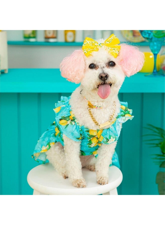 Fitwarm Lemon Dog Dress, Dog Clothes For Small Dogs Girl, Pet Cat Apparel, Teal Blue, Yellow, Green, Medium - Image 4