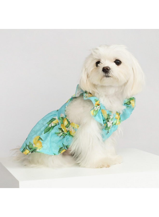 Fitwarm Lemon Dog Dress, Dog Clothes For Small Dogs Girl, Pet Cat Apparel, Teal Blue, Yellow, Green, Medium - Image 2