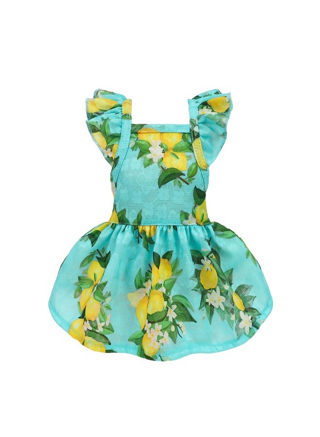Fitwarm Lemon Dog Dress, Dog Clothes For Small Dogs Girl, Pet Cat Apparel, Teal Blue, Yellow, Green, Medium - Image 1