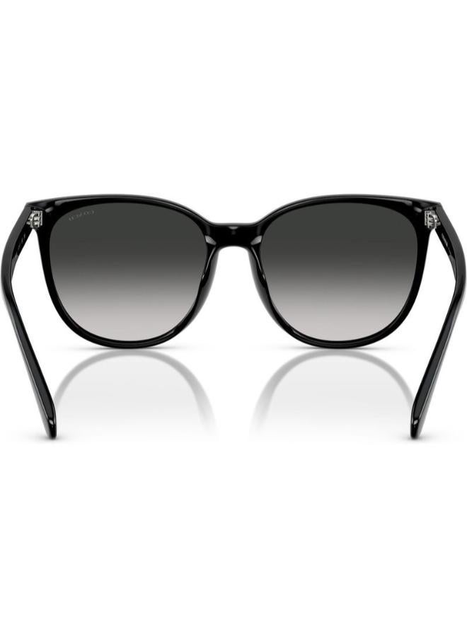 كوتش نظارة شمسية دائرية كاملة الحواف 8414BD 50023C - Image 3