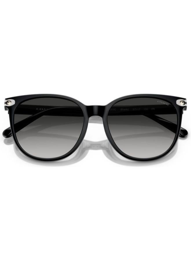 كوتش نظارة شمسية دائرية كاملة الحواف 8414BD 50023C - Image 4