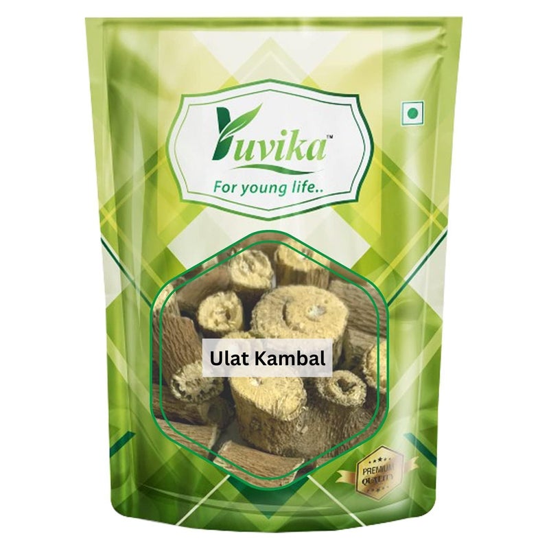 Yuvika Ulat Kambal - Ulatkambal Jadd - Ambroma Augusta 800 Grams - Image 5