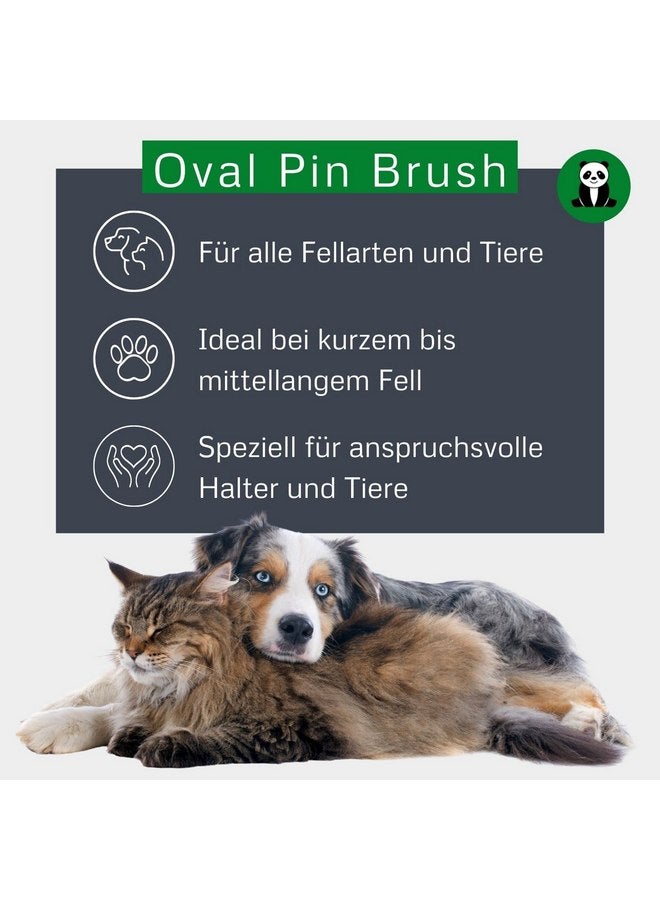 ألكوت فرشاة شعر بيضاوية من الخيزران مع دبابيس كبيرة - Image 2