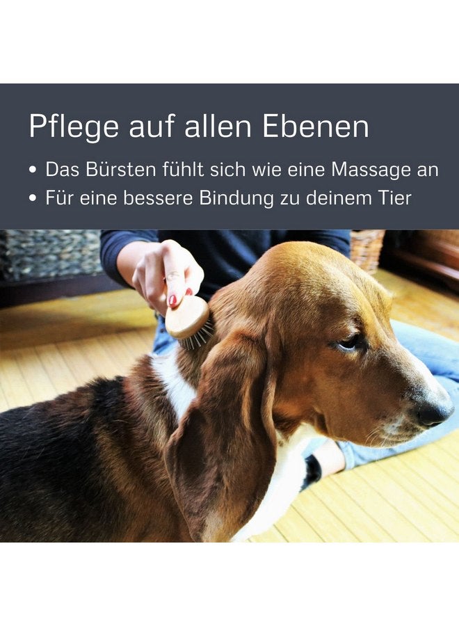 ألكوت فرشاة شعر بيضاوية من الخيزران مع دبابيس كبيرة - Image 5