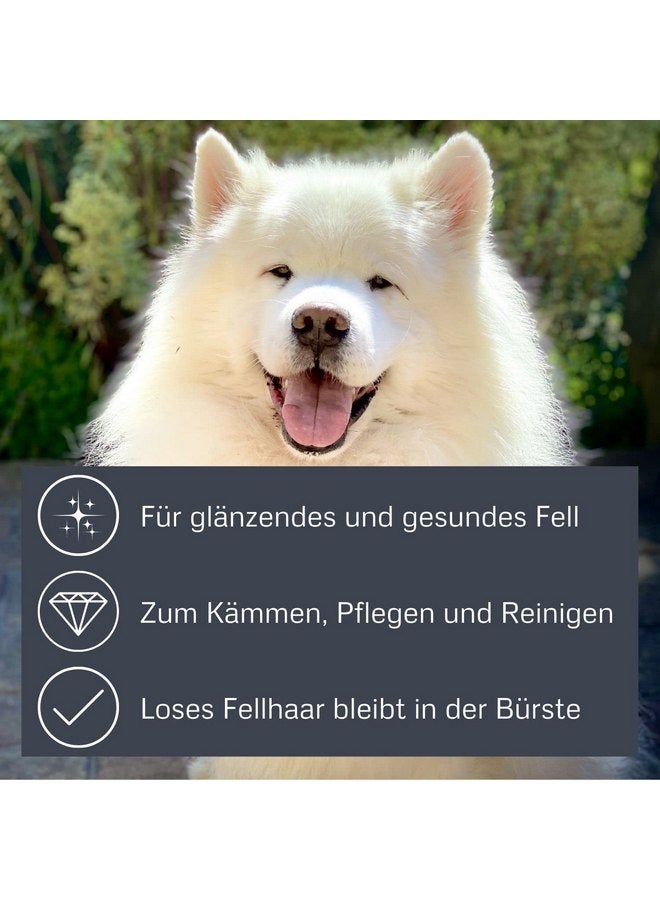 ألكوت فرشاة شعر بيضاوية من الخيزران مع دبابيس كبيرة - Image 4