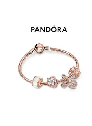 Pandora hollow wish bracelet