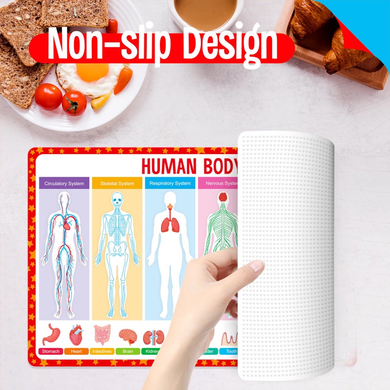 SpriteGru 6 Pack Placemats for Kids, Non-Slip Washable, Reusable Universe, Periodic Table, US President, Human Body, Map of USA & World Educational Placemats for Home, Kindergarten, Classroom, Nursery - Image 5