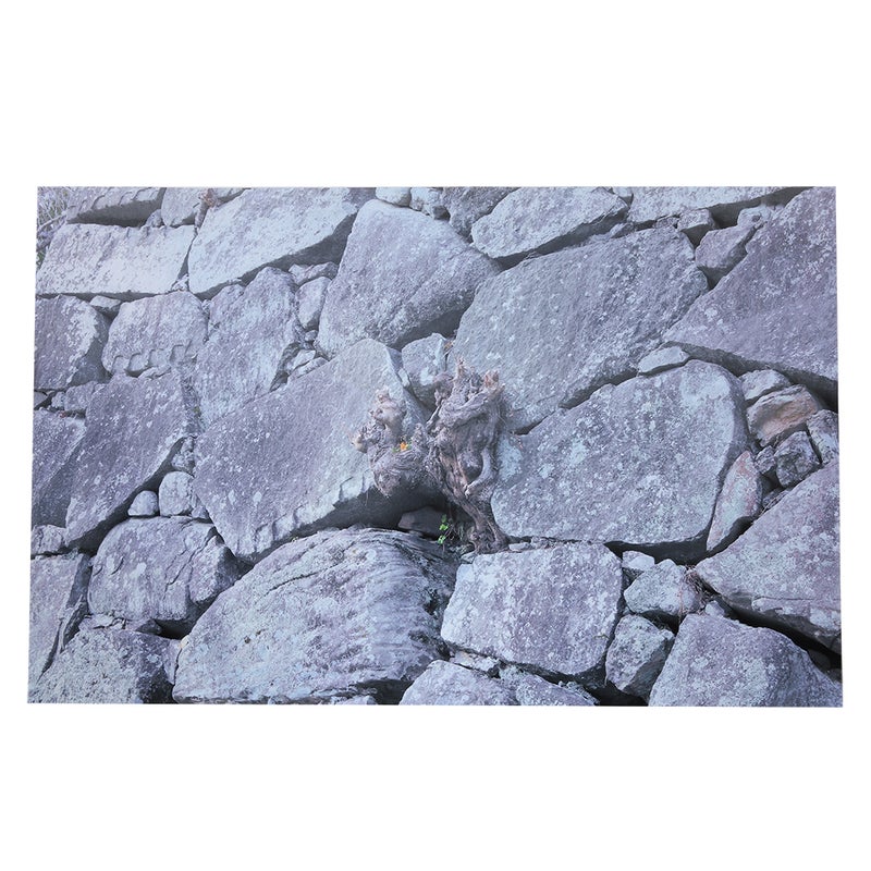 ملصق زخرفي بخلفية صخريّة صورة جدارية لوحة مناظر طبيعية لأحواض الأسماك 122 × 46 سم - Image 3