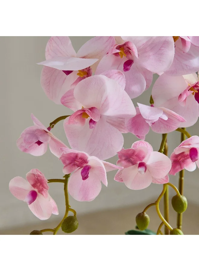 Home Box Areos Orchid Flower Arrangement with Ribbed Ceramic Pot - 58 cm