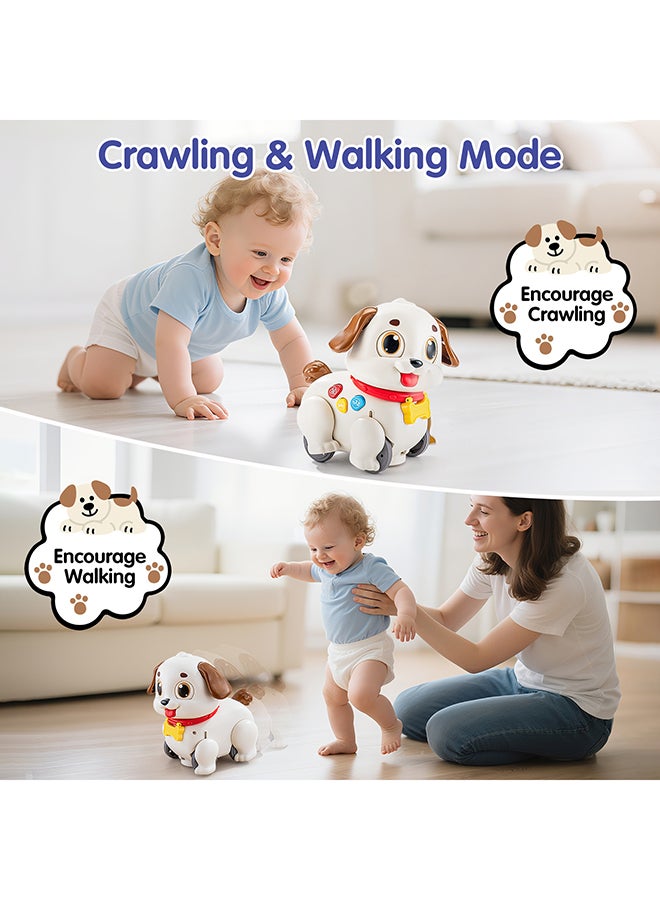 Hola Crawl & Pull Along Learning Puppy for Babies 6+ Months | Interactive Musical Dog Toy with Lights & Sounds | Encourages Walking & Motor Skills - Image 3