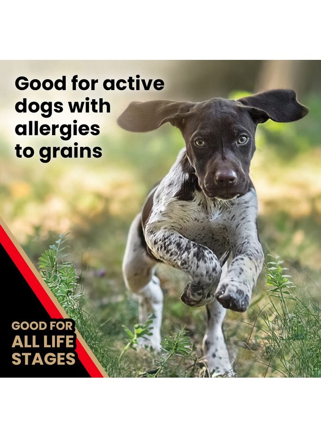 Victor Super Premium Dog Food - Grain Free Active Dog & Puppy - Dry Dog Food with 33% Protein, Gluten Free - for High Energy Dogs, 5lbs - Image 4