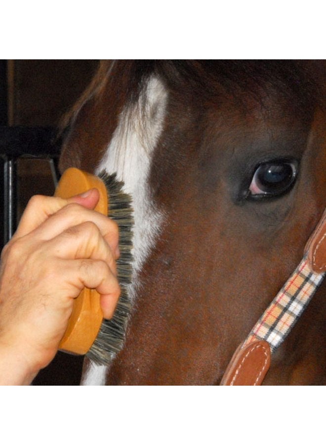 Intrepid International Pig Bristle Animal Face Brush