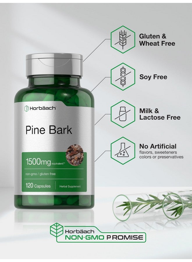 Horbäach Pine Bark Extract Capsules | 1500mg | 120 Count | Non-GMO and Gluten Free - Image 5