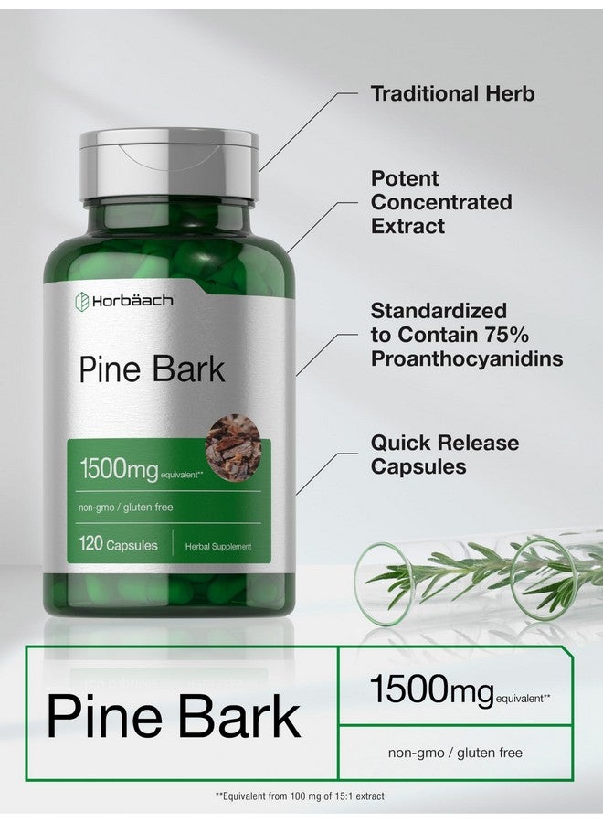 Horbäach Pine Bark Extract Capsules | 1500mg | 120 Count | Non-GMO and Gluten Free - Image 4