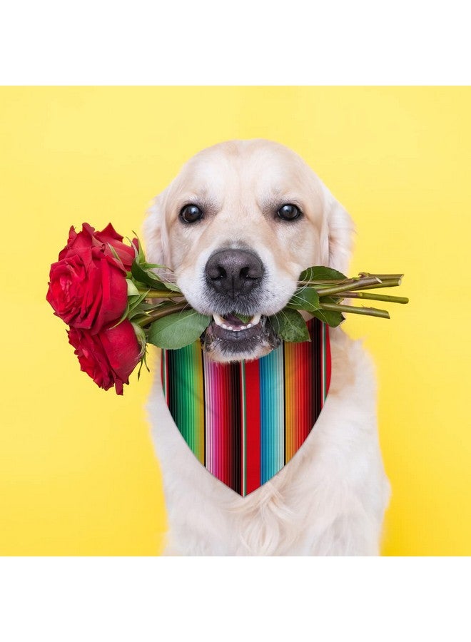 Pudodo Cinco de Mayo Dog Bandana Mexican Fiesta Triangle Dog Scarf Adjustable Accessories for Small Medium Dogs Cats Pets - Image 4