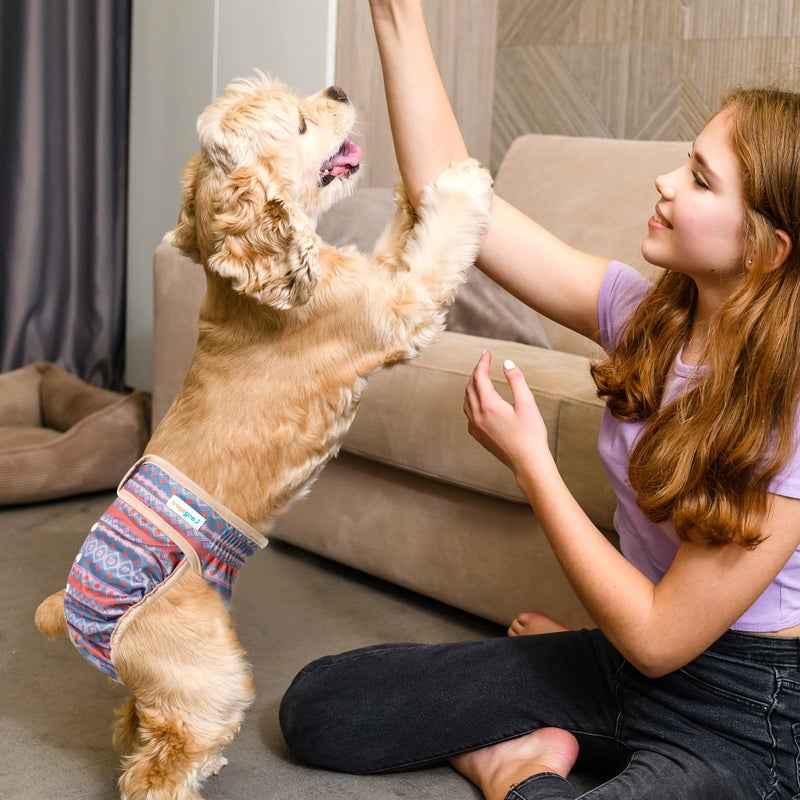 Langsprit Washable Female Dog Diapers - Doggie Reusable Diapers for Doggy Puppy Female in Period - Highly Absorbent Dog Heat Panties Plaid-1 M - Image 5