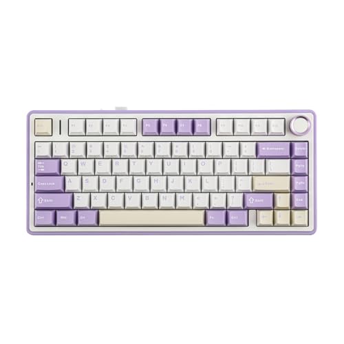 EPOMAKER x Aula F75 Gasket Mechanical Keyboard, 75% Wireless Hot Swappable Gaming Keyboard with Five-Layer Padding&Knob, Bluetooth/2.4GHz/USB-C, RGB (Purple, LEOBOG Reaper Switch) - Image 1