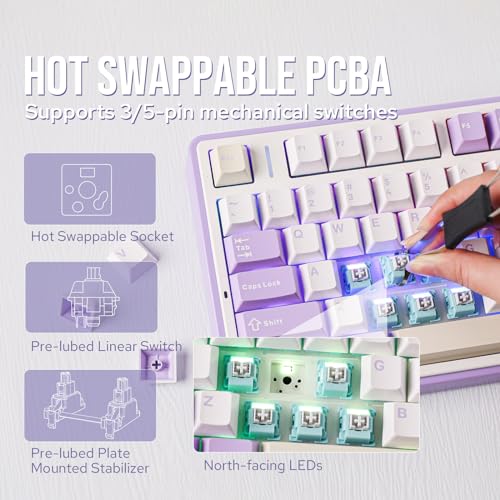 EPOMAKER x Aula F75 Gasket Mechanical Keyboard, 75% Wireless Hot Swappable Gaming Keyboard with Five-Layer Padding&Knob, Bluetooth/2.4GHz/USB-C, RGB (Purple, LEOBOG Reaper Switch) - Image 4