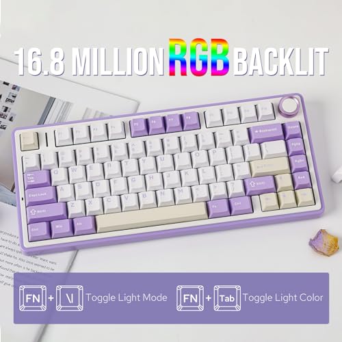 EPOMAKER x Aula F75 Gasket Mechanical Keyboard, 75% Wireless Hot Swappable Gaming Keyboard with Five-Layer Padding&Knob, Bluetooth/2.4GHz/USB-C, RGB (Purple, LEOBOG Reaper Switch) - Image 5