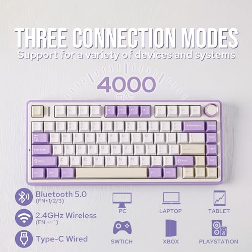 EPOMAKER x Aula F75 Gasket Mechanical Keyboard, 75% Wireless Hot Swappable Gaming Keyboard with Five-Layer Padding&Knob, Bluetooth/2.4GHz/USB-C, RGB (Purple, LEOBOG Reaper Switch) - Image 3