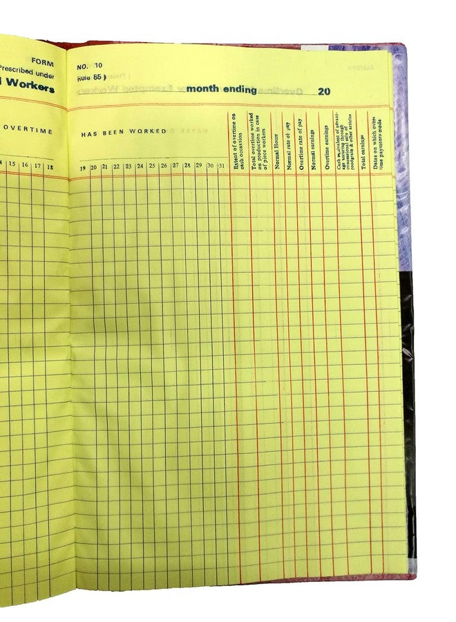 LRS Form 10 Register of Overtime Muster Roll for Exempted Workers Prescribed Under Rule 85 - Image 2