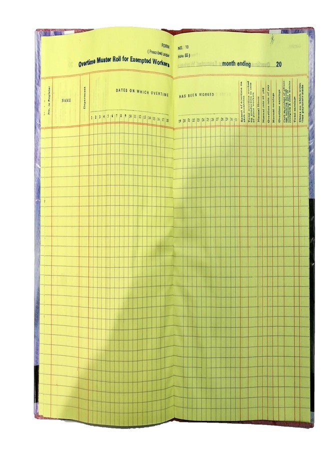 LRS Form 10 Register of Overtime Muster Roll for Exempted Workers Prescribed Under Rule 85 - Image 3