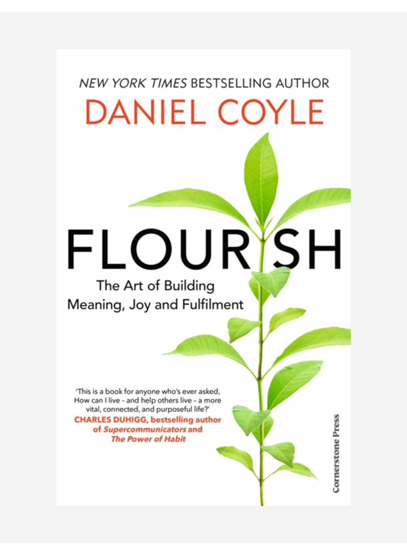 ازدهار: فن بناء المعنى والفرح والرضا