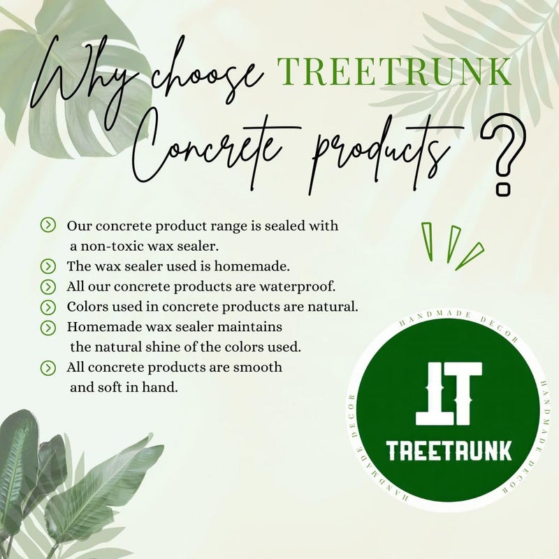 TREETRUNK® Handmade Concrete Shell Trinket Tray | Jewellery/Makeup/Table Organizer l Home Decor l Candle Tray | Multipurpose (9.5×9.5cm) White (Gold foil) - Image 4