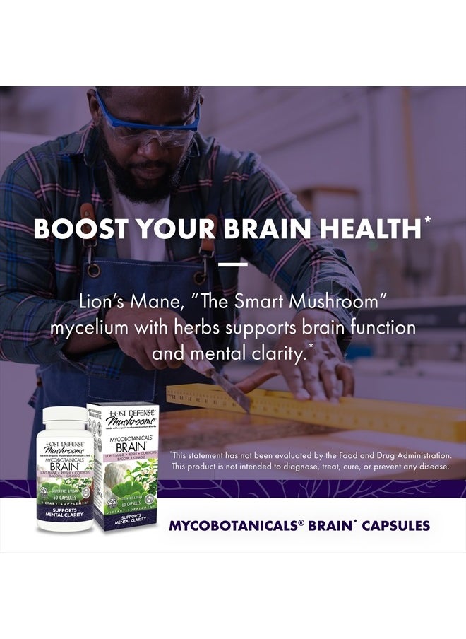 Host Defense - MycoBotanicals Brain* Capsules - Brain Support Supplement with Lion's Mane, Reishi & Cordyceps Mushroom - Herbal Supplement for Memory & Focus Support - 60 Capsules (30 Servings)* - Image 1