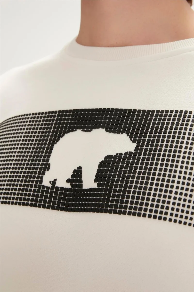 باد بير 19.02.12.007-C108 Fancy Men's Sweatshirt