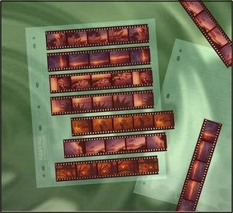 AMFLOWER Clear File 12B Negative Page 25 Pack 7 Strips of 5 Negatives