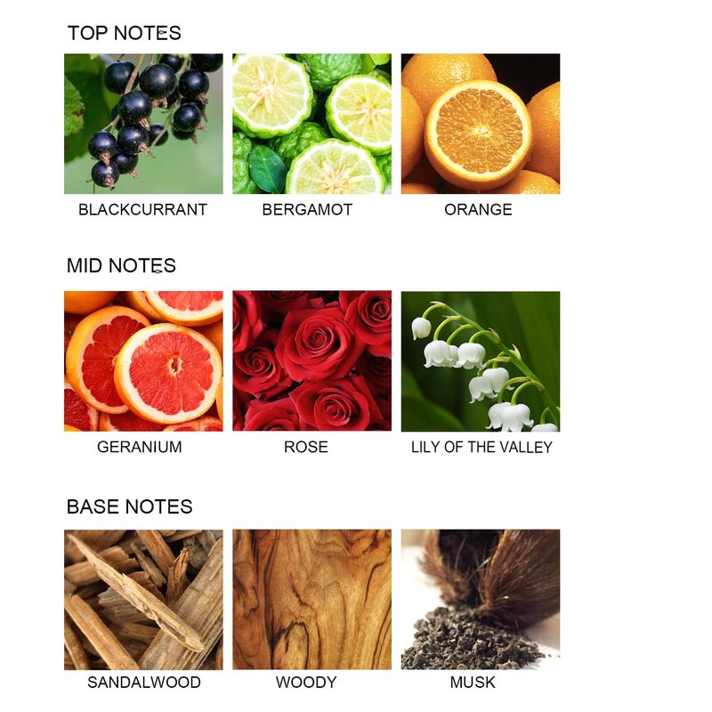 UCC Reed Diffuser Set  3.38 oz Romantic Love Premium Hotel Collection Scented Diffuser with Flower Sticks Home Fragrance Reed Diffuser for Bathroom Shelf Decor - Image 3