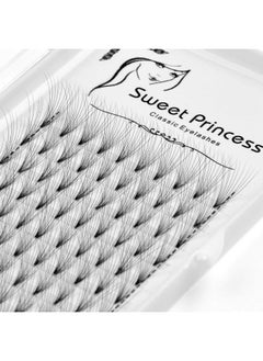 12Rows,120Pcs 10D Premade Volume Fans Eye Lashes Extensions Thickness 0.07Mm D Curl Black Soft Individual False Eyelashes Makeup Fake Lashes Cluster 818Mm To Choose(14Mm) - pzsku/Z957C9415845DF3E9840BZ/45/_/1695645480/6a724865-c751-4b81-90de-91aecec03cbf