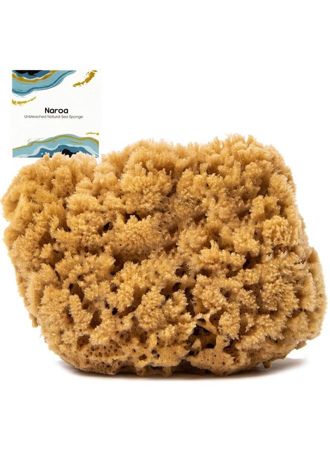Naroa Massage Natural Shower Sponge Large | Unbleached Body Scrubber Puff | Bath Sea Loofah for Healthy Skin | Sustainable Plastic Free (L) - Image 1