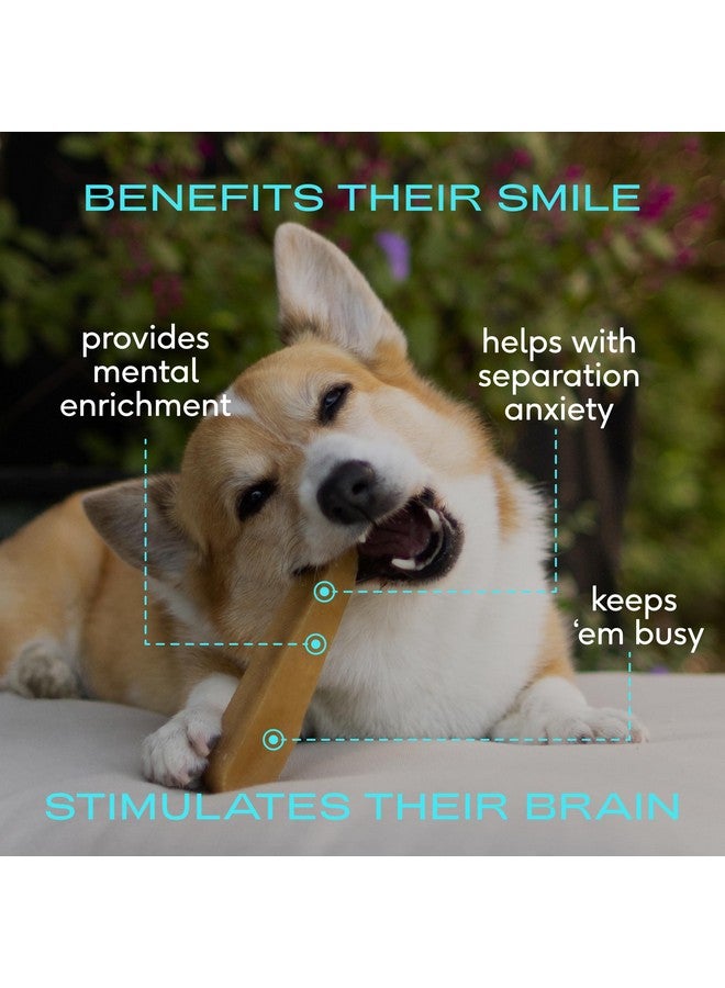 Native Pet Yak Cheese Himalayan Dog Chews - Long Lasting Dental Sticks for Small Breeds- 100% All Natural Himalayan Yak Chews for Small Dogs - Cheese Bone for Aggressive Chewers - 15 Per Pack - Image 2