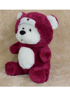 Canestar Adjustable Hooded Cute Plush Bear - Plush Toy  - Image 4