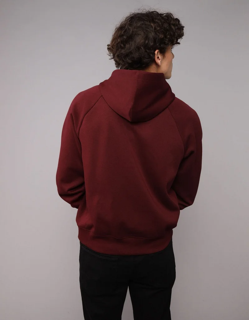 American Eagle  Relaxed Sportstyle Hoodie for Men | Best Price UAE