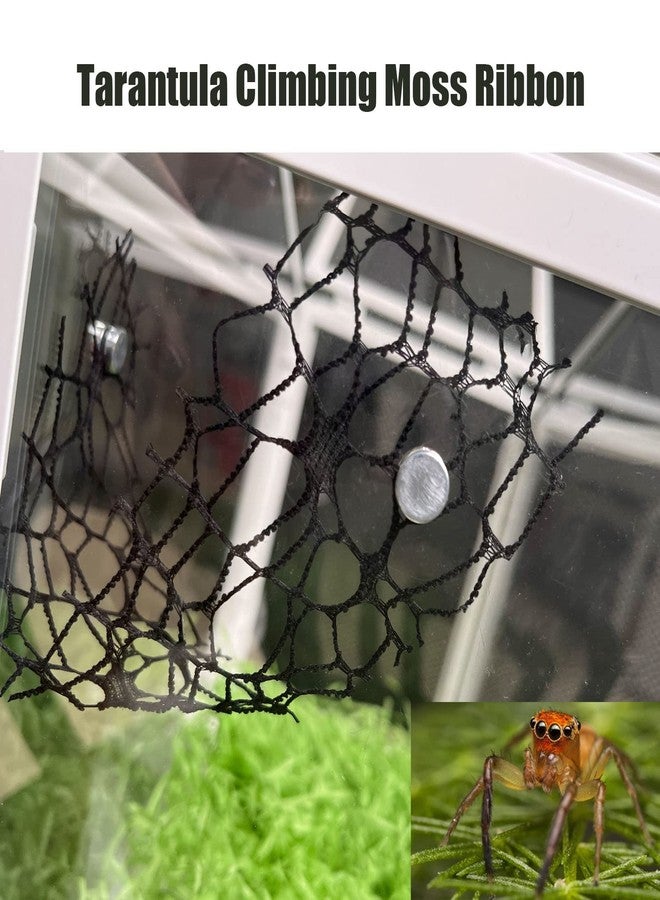 JILINWEI 2Set Tarantula Enclosure Accessories,Jumping Spider Praying Mantis Habitat Decor Climbing Moss Ribbon for Hide,Tarantula Pet Praying Mantis Webbed Moss Ribbon with Magnet,Black - Image 2