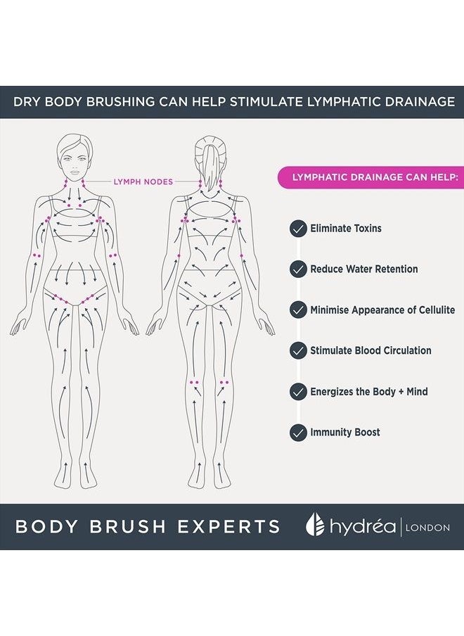 Short Body Brush with Natural Bristles Wet Or Dry Brushing