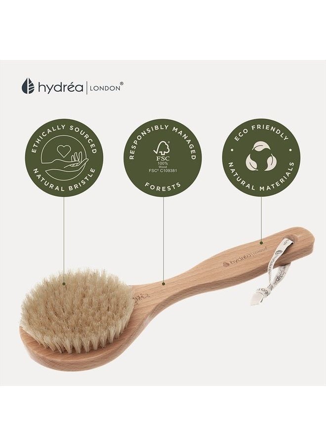 Short Body Brush with Natural Bristles Wet Or Dry Brushing