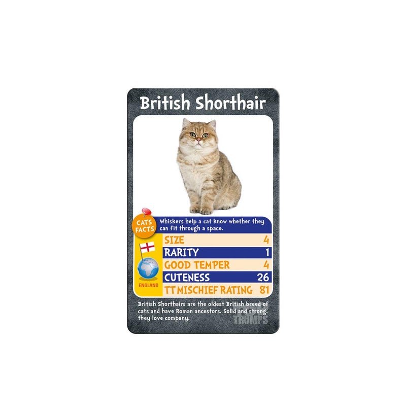 Top Trumps Cats and Kittens Top Trumps Card Game - Image 4