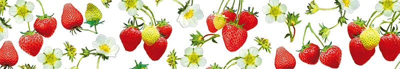 mt Washi Masking Tape EX Series, 15 mm x 10 mtrs Shade - Strawberry, (Pack of 1) - Image 2