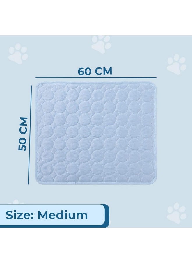 Kuber Industries - Rectangular Dog & Cat Bed|Premium Cool Ice Silk With Polyester With Bottom Mesh|Multi-Utility Self-Cooling Pad For Dog & Cat|Light-Weight & Durable Dog Bed|Zqcj001Lb-M|Light Blue - Image 1